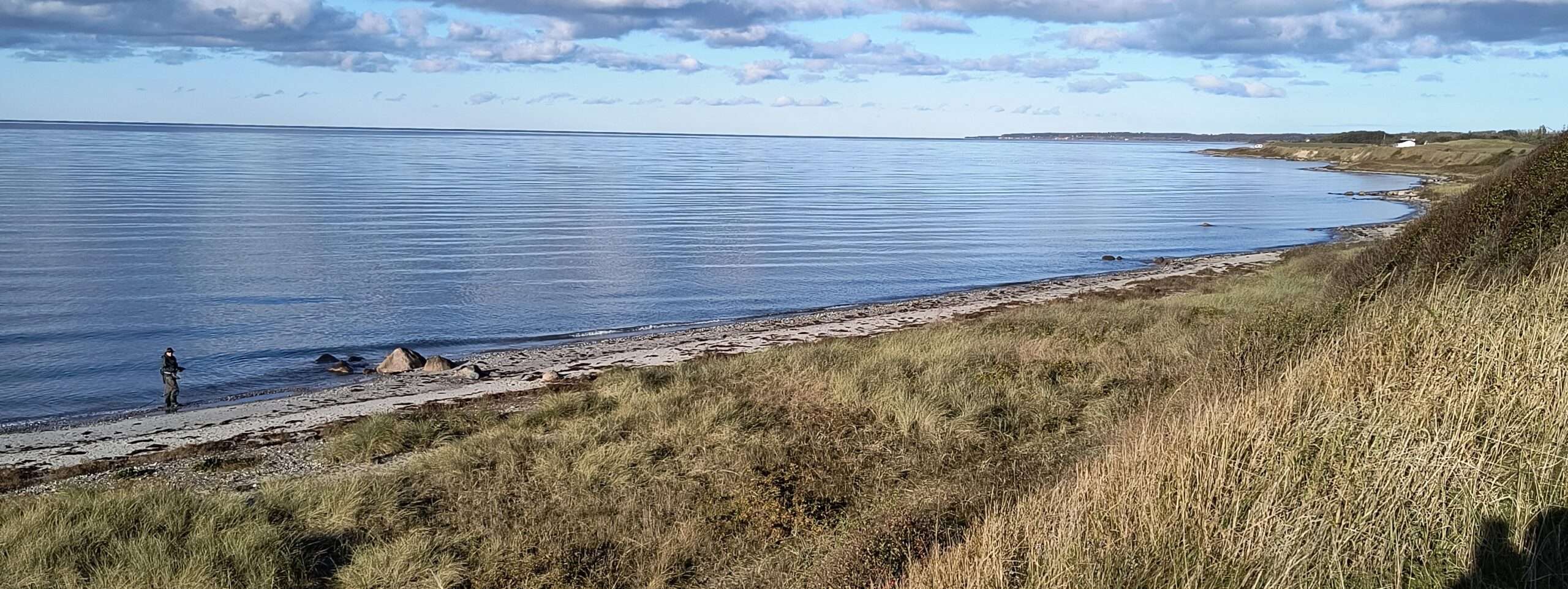 Græsmarken i fuld sol 18-10-2025 Top