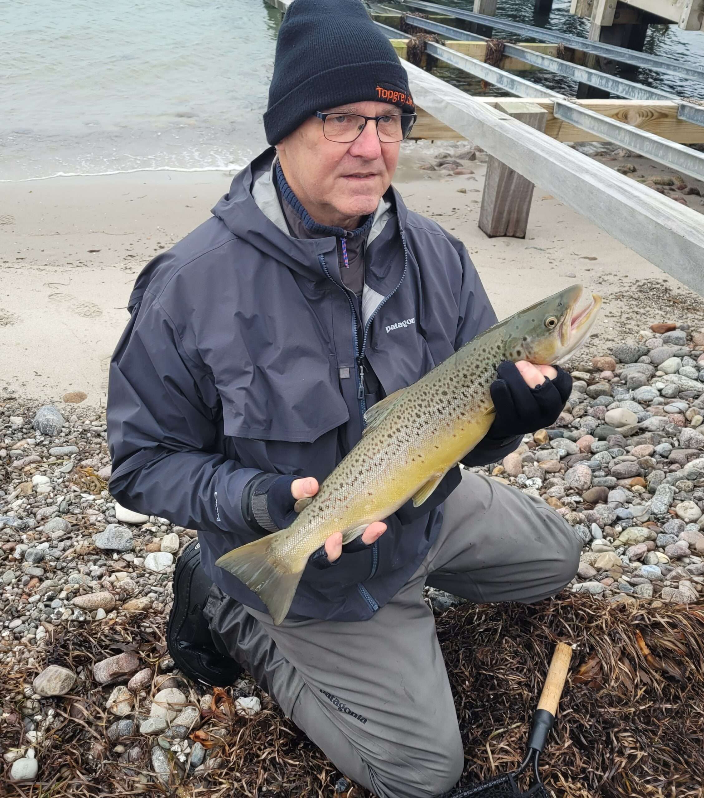 jan farvet haværred